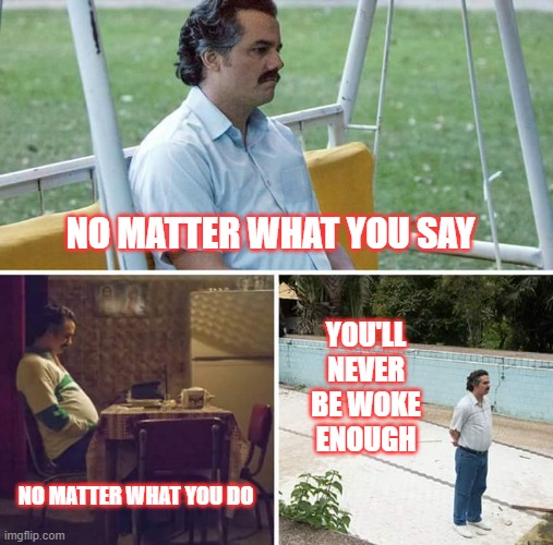 Never Woke Enough | NO MATTER WHAT YOU SAY; YOU'LL NEVER BE WOKE ENOUGH; NO MATTER WHAT YOU DO | image tagged in memes,sad pablo escobar | made w/ Imgflip meme maker