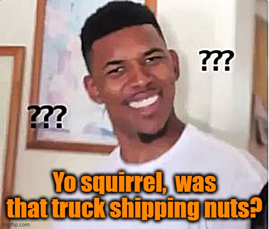 Nick Young | Yo squirrel,  was that truck shipping nuts? | image tagged in nick young | made w/ Imgflip meme maker