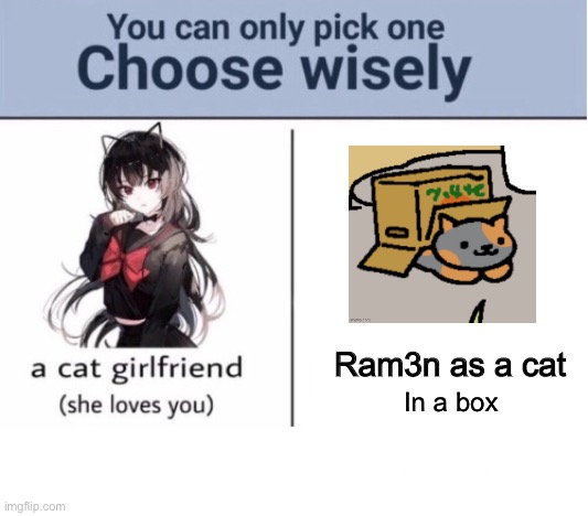e | Ram3n as a cat; In a box | image tagged in choose wisely | made w/ Imgflip meme maker