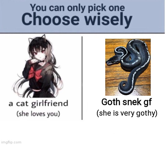 Choose wisely | Goth snek gf; (she is very gothy) | image tagged in choose wisely | made w/ Imgflip meme maker