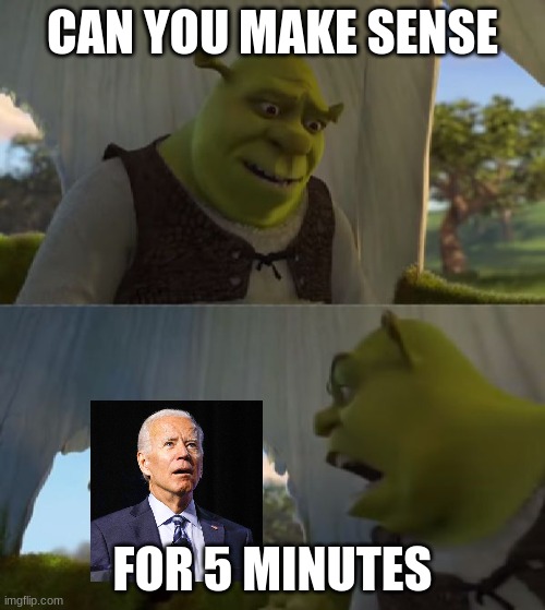 Could you not ___ for 5 MINUTES | CAN YOU MAKE SENSE; FOR 5 MINUTES | image tagged in could you not ___ for 5 minutes | made w/ Imgflip meme maker