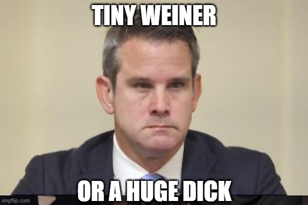 TINY WEINER; OR A HUGE DICK | made w/ Imgflip meme maker