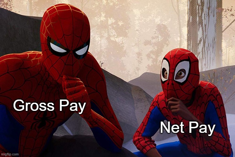 Learning from spiderman |  Gross Pay; Net Pay | image tagged in learning from spiderman,awesomeness | made w/ Imgflip meme maker