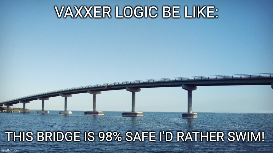 bridge | VAXXER LOGIC BE LIKE: THIS BRIDGE IS 98% SAFE I'D RATHER SWIM! | image tagged in bridge | made w/ Imgflip meme maker