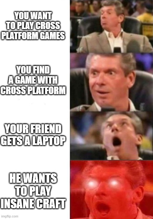 true story | YOU WANT TO PLAY CROSS PLATFORM GAMES; YOU FIND A GAME WITH CROSS PLATFORM; YOUR FRIEND GETS A LAPTOP; HE WANTS TO PLAY INSANE CRAFT | image tagged in mr mcmahon reaction | made w/ Imgflip meme maker