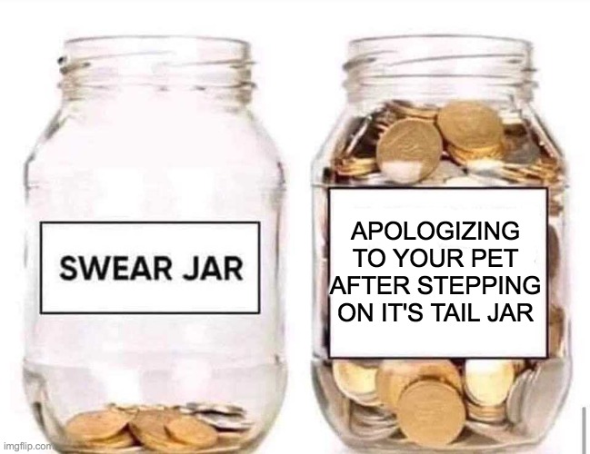 Swear Jar | APOLOGIZING TO YOUR PET AFTER STEPPING ON IT'S TAIL JAR | image tagged in swear jar | made w/ Imgflip meme maker