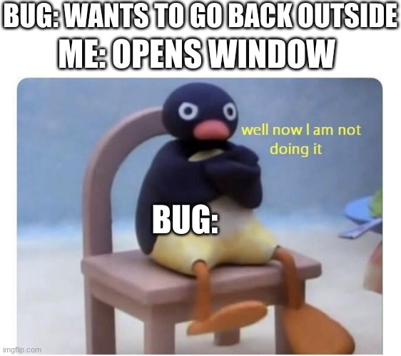 well now I am not doing it | ME: OPENS WINDOW; BUG: WANTS TO GO BACK OUTSIDE; BUG: | image tagged in well now i am not doing it,pingu,memes,funny,funny memes,you had one job | made w/ Imgflip meme maker
