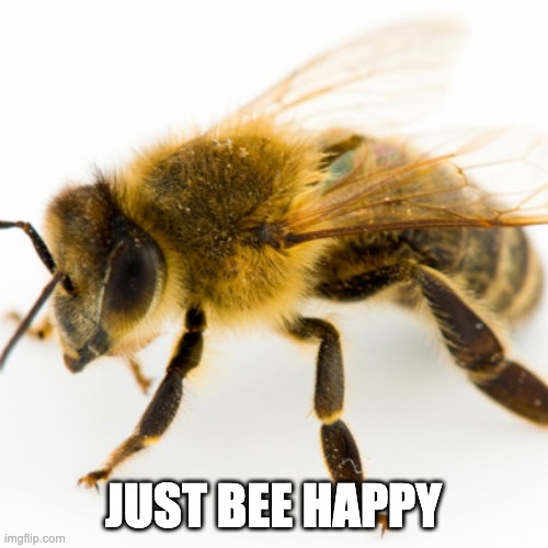 honeybee | JUST BEE HAPPY | image tagged in honeybee | made w/ Imgflip meme maker