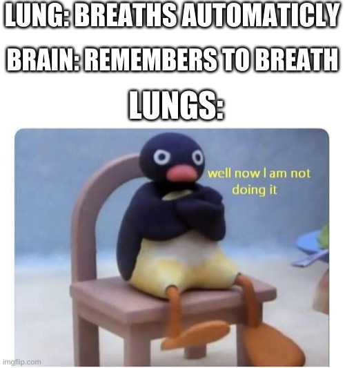 well now I am not doing it | LUNG: BREATHS AUTOMATICLY; BRAIN: REMEMBERS TO BREATH; LUNGS: | image tagged in well now i am not doing it,memes | made w/ Imgflip meme maker