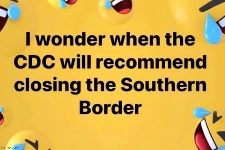 Covid and open borders: Democrats way of creating a permanent voting majority. | image tagged in covid-19,coronavirus,china,democrats,joe biden,memes | made w/ Imgflip meme maker
