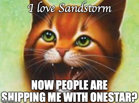 Warrior cats Firestar | I love Sandstorm; NOW PEOPLE ARE SHIPPING ME WITH ONESTAR? | image tagged in warrior cats firestar | made w/ Imgflip meme maker