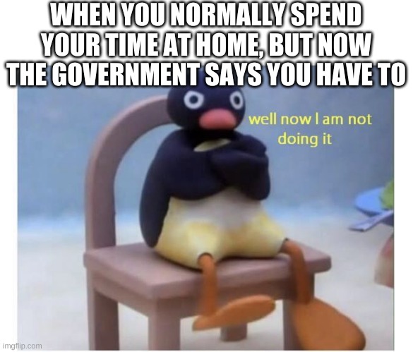 well now I am not doing it | WHEN YOU NORMALLY SPEND YOUR TIME AT HOME, BUT NOW THE GOVERNMENT SAYS YOU HAVE TO | image tagged in well now i am not doing it,funny,memes,wtf,relatable,you had one job | made w/ Imgflip meme maker