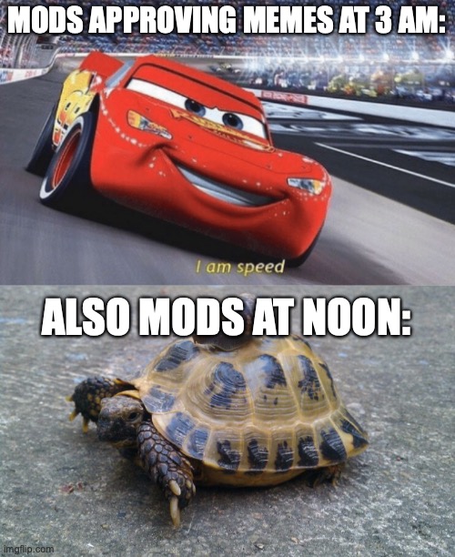 You can't say I'm wrong, and you know it | MODS APPROVING MEMES AT 3 AM:; ALSO MODS AT NOON: | image tagged in i am speed,snail riding turtle | made w/ Imgflip meme maker