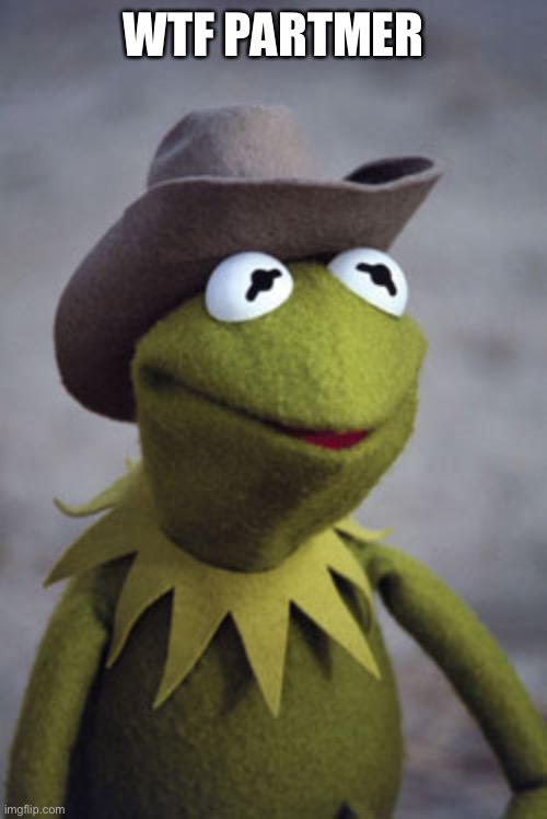 Texas Kermit | WTF PARTNER | image tagged in texas kermit | made w/ Imgflip meme maker