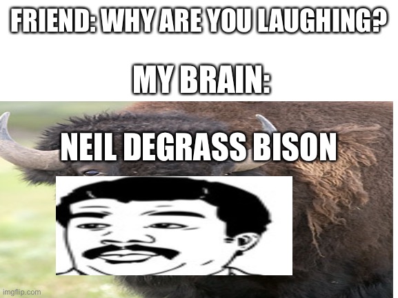 Comedy | FRIEND: WHY ARE YOU LAUGHING? MY BRAIN:; NEIL DEGRASS BISON | made w/ Imgflip meme maker