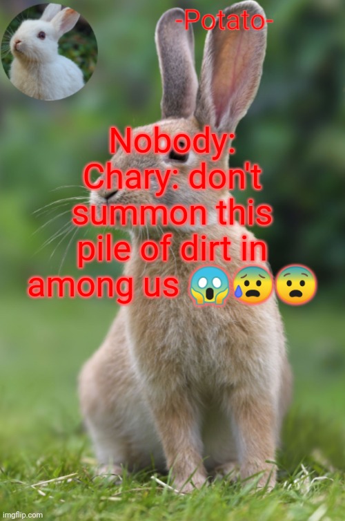 -Potato- rabbit announcement | Nobody:
Chary: don't summon this pile of dirt in among us 😱😰😨 | image tagged in -potato- rabbit announcement | made w/ Imgflip meme maker