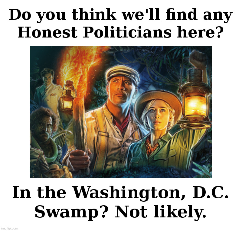 Searching For An Honest Politician | image tagged in washington dc,swamp,politicians,democrats,republicans,government corruption | made w/ Imgflip meme maker