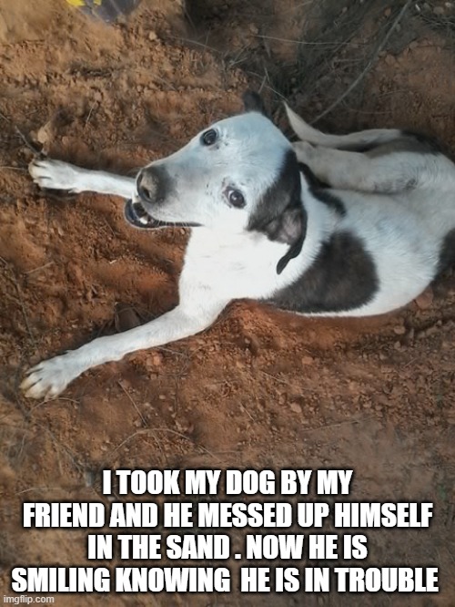 I TOOK MY DOG BY MY FRIEND AND HE MESSED UP HIMSELF IN THE SAND . NOW HE IS SMILING KNOWING  HE IS IN TROUBLE | made w/ Imgflip meme maker
