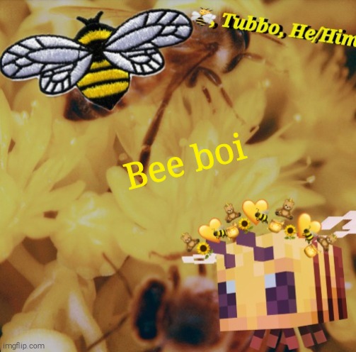 Tubbo | Bee boi | image tagged in tubbo | made w/ Imgflip meme maker