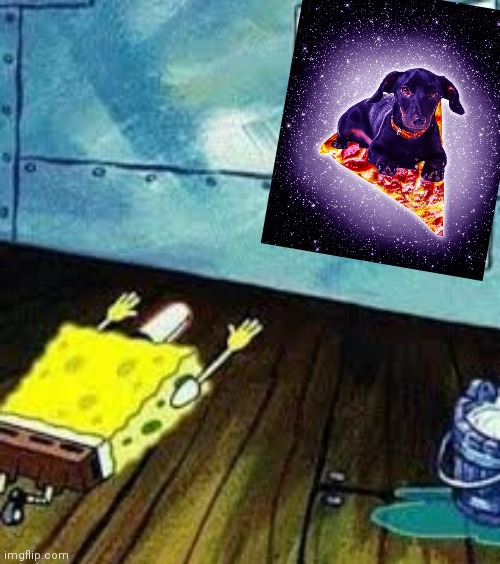 spongebob worship | image tagged in spongebob worship | made w/ Imgflip meme maker