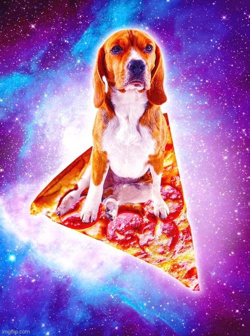 galaxy doggggg | image tagged in memes,is this a pigeon | made w/ Imgflip meme maker