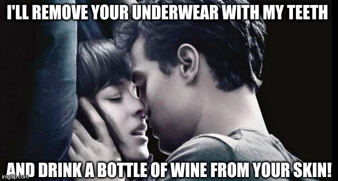 50 shades of grey | I'LL REMOVE YOUR UNDERWEAR WITH MY TEETH; AND DRINK A BOTTLE OF WINE FROM YOUR SKIN! | image tagged in 50 shades of grey | made w/ Imgflip meme maker
