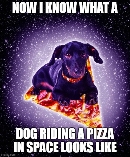 welcome to the bizzare internet lol | NOW I KNOW WHAT A; DOG RIDING A PIZZA IN SPACE LOOKS LIKE | image tagged in internet | made w/ Imgflip meme maker