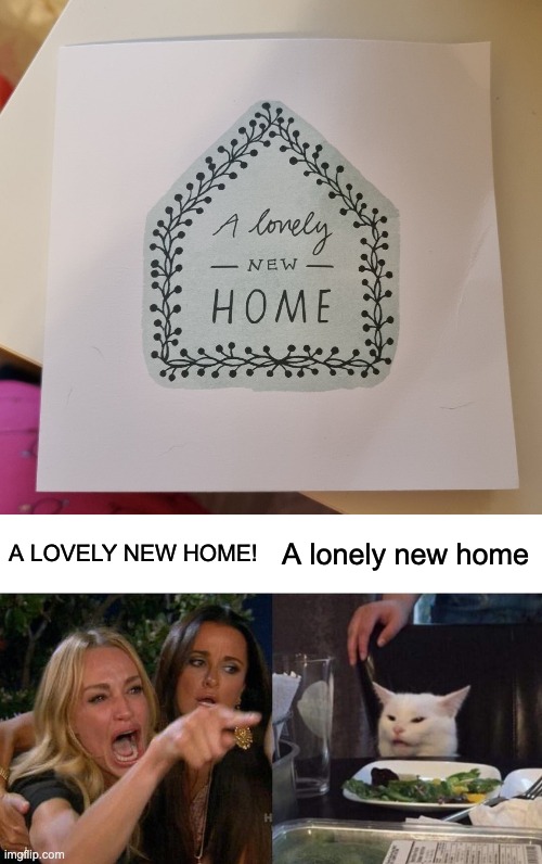 A Lonely New Home | A LOVELY NEW HOME! A lonely new home | image tagged in memes,woman yelling at cat,fail | made w/ Imgflip meme maker