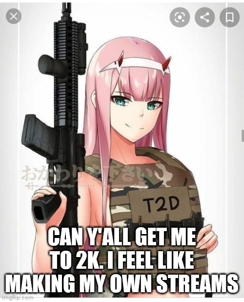 Idc who u r, but upvote begging IS allowed, read the stream rules CAREFULLY | CAN Y'ALL GET ME TO 2K. I FEEL LIKE MAKING MY OWN STREAMS | image tagged in 2nd amendment zero two | made w/ Imgflip meme maker