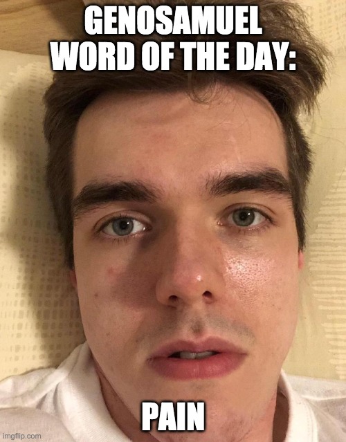GENOSAMUEL WORD OF THE DAY:; PAIN | made w/ Imgflip meme maker