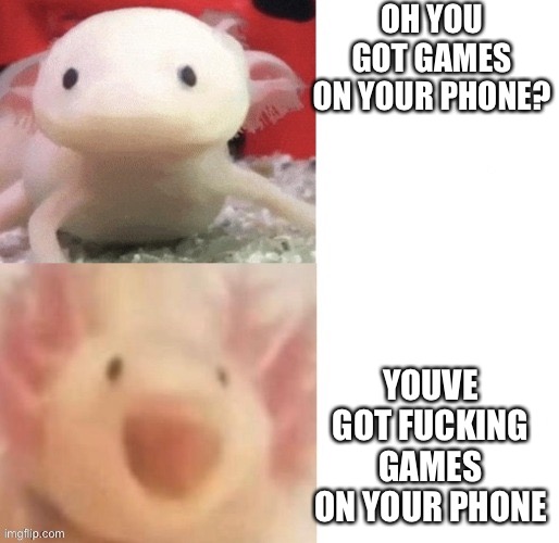 Donut | OH YOU GOT GAMES ON YOUR PHONE? YOUVE GOT FUCKING GAMES ON YOUR PHONE | image tagged in axolotl | made w/ Imgflip meme maker