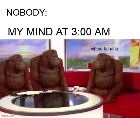 monke | NOBODY:; MY MIND AT 3:00 AM | image tagged in where banana,3 am,nobody | made w/ Imgflip meme maker