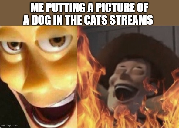 Satanic woody (no spacing) | ME PUTTING A PICTURE OF A DOG IN THE CATS STREAMS | image tagged in satanic woody no spacing | made w/ Imgflip meme maker