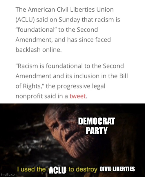 Civil liberties org undermines civil liberty | DEMOCRAT PARTY; CIVIL LIBERTIES; ACLU | image tagged in i used the stones to destroy the stones | made w/ Imgflip meme maker