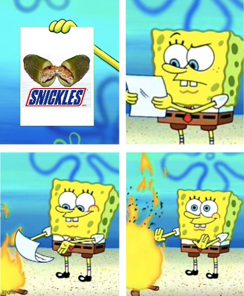 Snickles | image tagged in spongebob burning paper | made w/ Imgflip meme maker