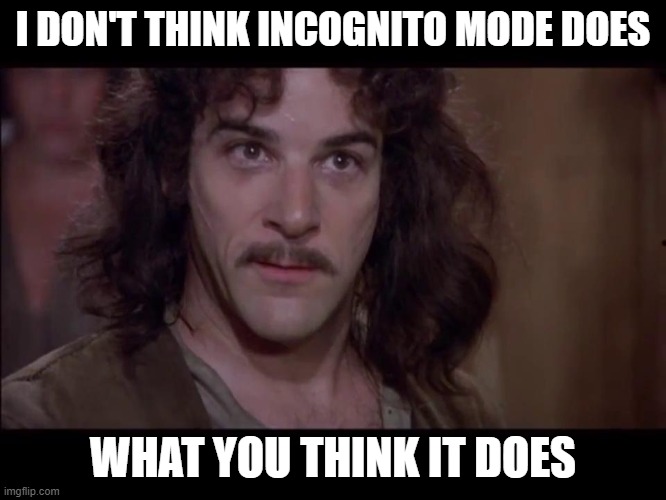 Meme doesn't mean what you think it memes | I DON'T THINK INCOGNITO MODE DOES WHAT YOU THINK IT DOES | image tagged in meme doesn't mean what you think it memes | made w/ Imgflip meme maker