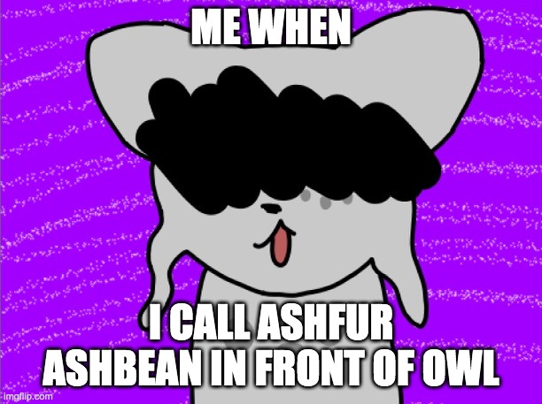 Yeah | ME WHEN; I CALL ASHFUR ASHBEAN IN FRONT OF OWL | made w/ Imgflip meme maker