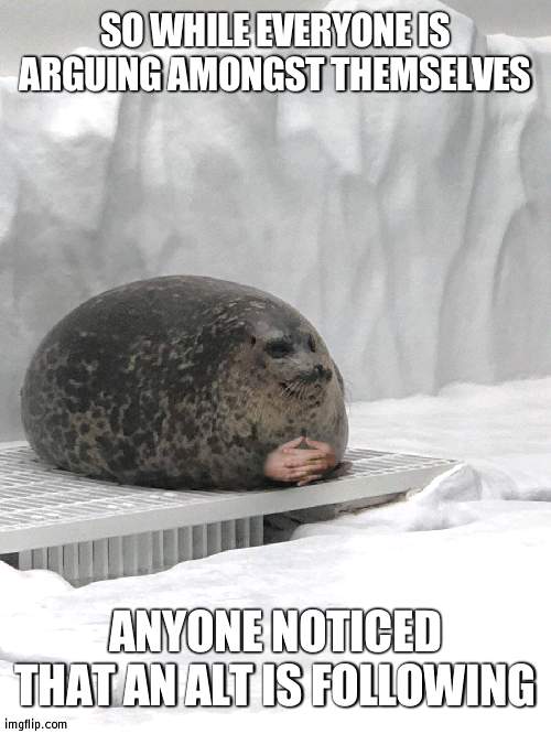 Name's Palmo, could be WN, stay alert | SO WHILE EVERYONE IS ARGUING AMONGST THEMSELVES; ANYONE NOTICED THAT AN ALT IS FOLLOWING | image tagged in seal hands | made w/ Imgflip meme maker
