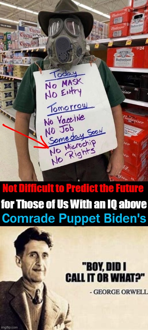 Big Brother is Watching You | Not Difficult to Predict the Future; for Those of Us With an IQ above; Comrade Puppet Biden's | image tagged in politics,the future,george orwell,big brother,liberalism | made w/ Imgflip meme maker