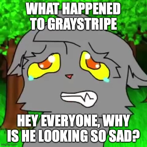 seriously. why is he looking so sad | WHAT HAPPENED TO GRAYSTRIPE; HEY EVERYONE, WHY IS HE LOOKING SO SAD? | image tagged in firestar doesn't like waffles | made w/ Imgflip meme maker