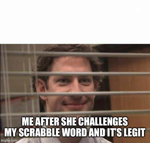 Scrabble Challenge | ME AFTER SHE CHALLENGES MY SCRABBLE WORD AND IT’S LEGIT | image tagged in office window meme,scrabble,the office,jim halpert | made w/ Imgflip meme maker
