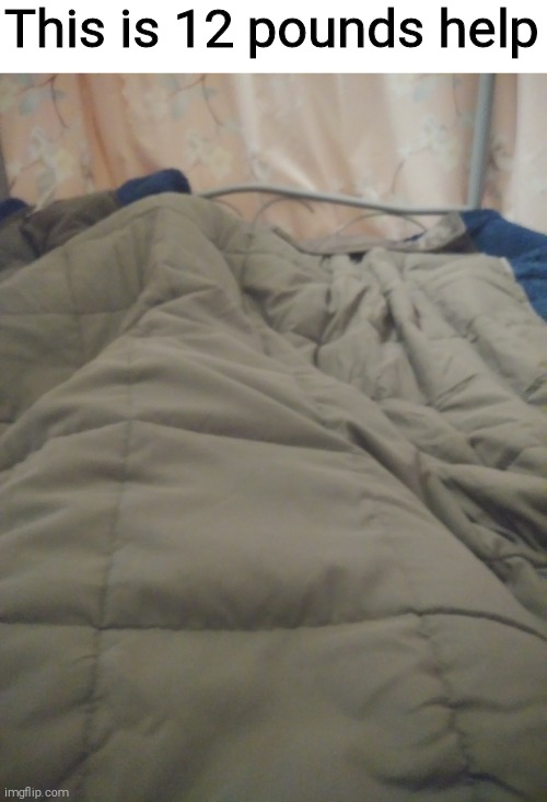 This is 12 pounds help | made w/ Imgflip meme maker