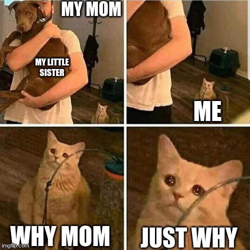 Sad Cat Holding Dog | MY MOM; MY LITTLE SISTER; ME; WHY MOM; JUST WHY | image tagged in sad cat holding dog | made w/ Imgflip meme maker