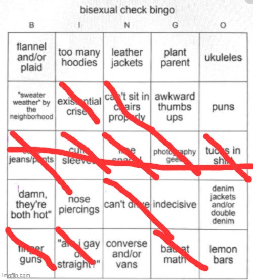 Bisexual Bingo | image tagged in bisexual bingo | made w/ Imgflip meme maker