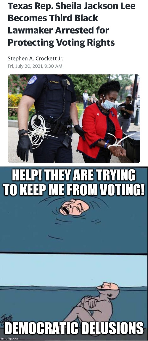 What a show! | HELP! THEY ARE TRYING TO KEEP ME FROM VOTING! DEMOCRATIC DELUSIONS | image tagged in crying guy drowning,democrats,voting,liberals | made w/ Imgflip meme maker