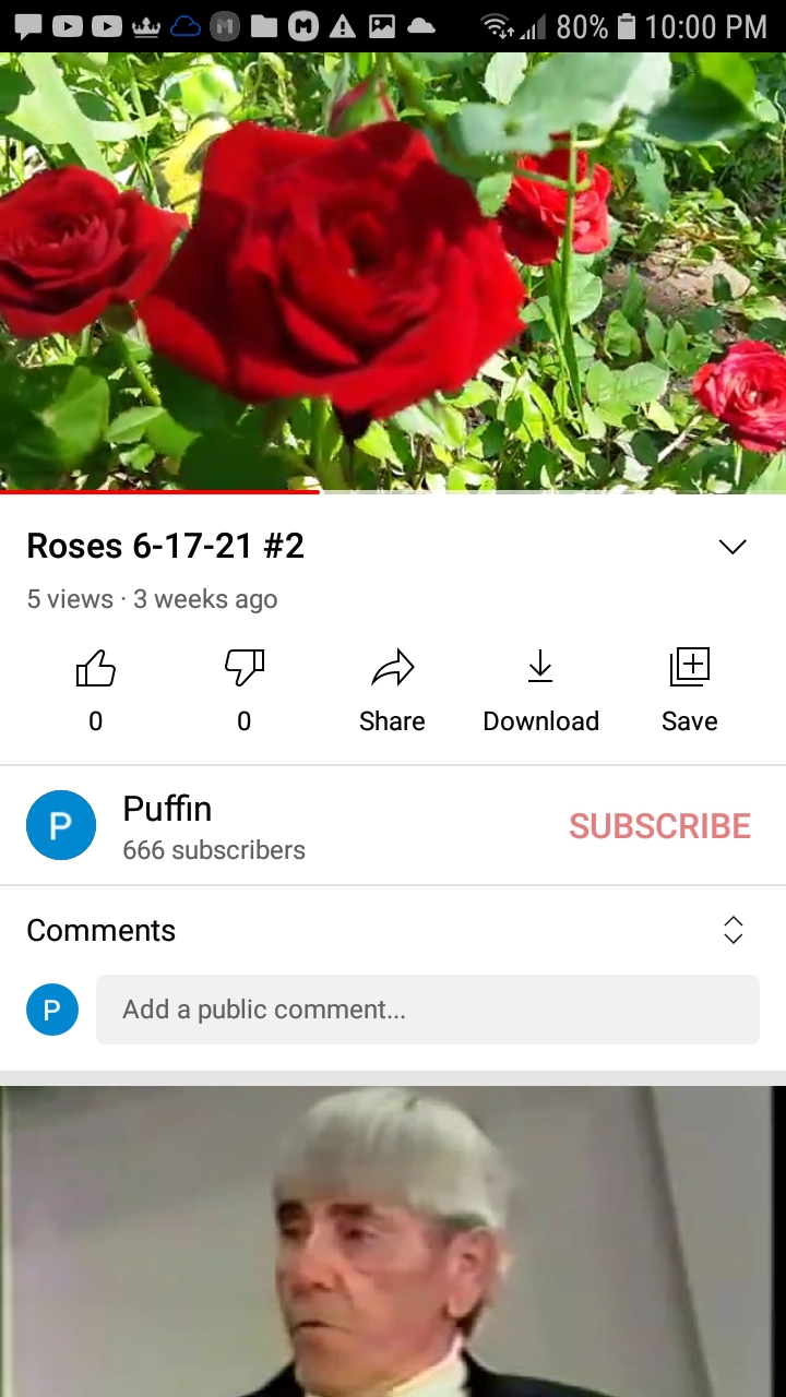 Roses 666 Blank Meme Template