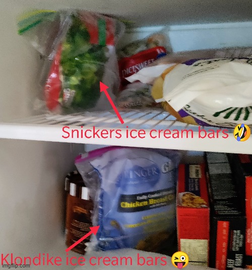 A secret in the freezer | image tagged in ice cream | made w/ Imgflip meme maker