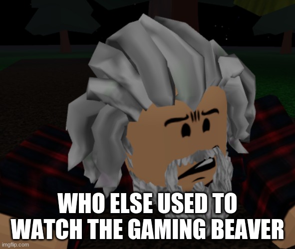 bruh what | WHO ELSE USED TO WATCH THE GAMING BEAVER | image tagged in bruh what | made w/ Imgflip meme maker