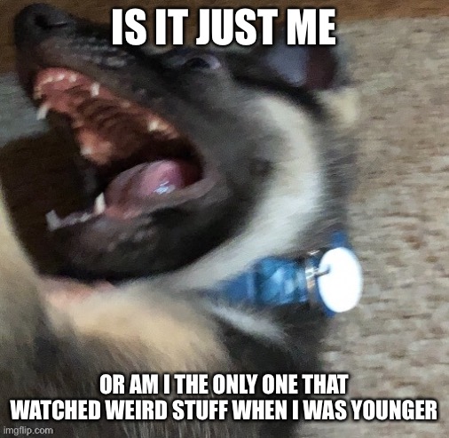 AKA vore, inflation, annoying orange. Kill me now | IS IT JUST ME; OR AM I THE ONLY ONE THAT WATCHED WEIRD STUFF WHEN I WAS YOUNGER | image tagged in angy doggo | made w/ Imgflip meme maker