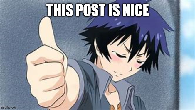 Yep Another other anime thumb | THIS POST IS NICE | image tagged in yep another other anime thumb | made w/ Imgflip meme maker